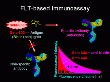 Fluorescence lifetime (FLT) assay