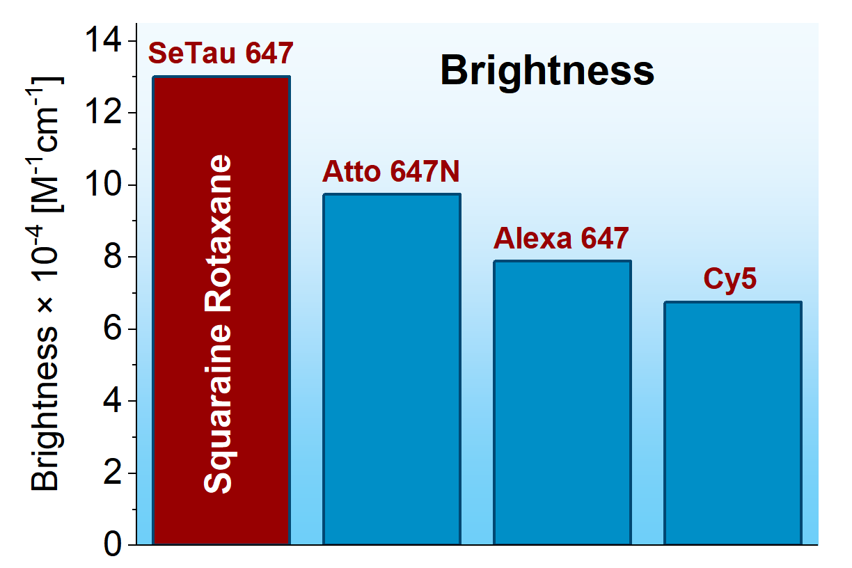Brightness of squaraine rotaxanes