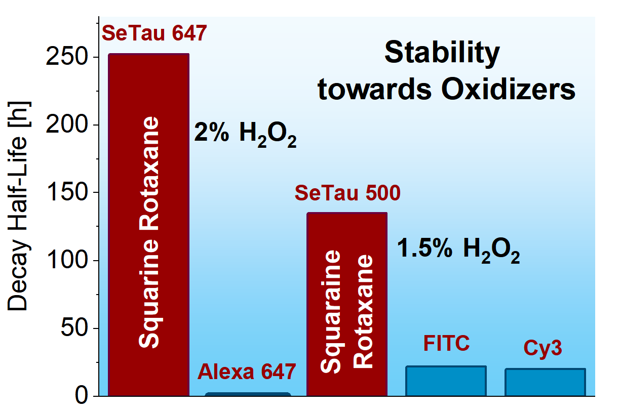 Chemical stability of squaraine rotaxanes