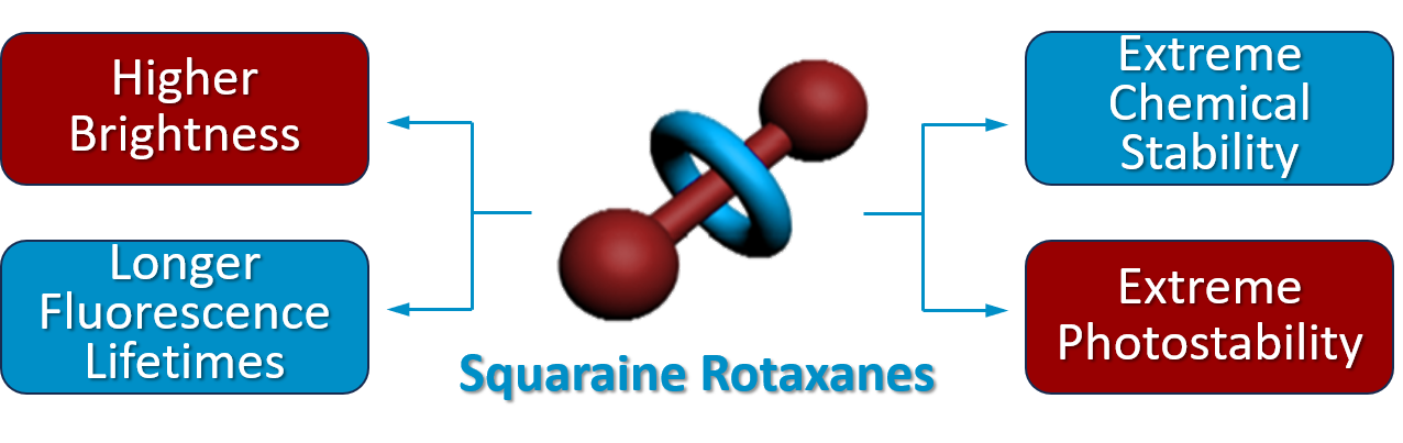 Advantages of squaraine rotaxanes